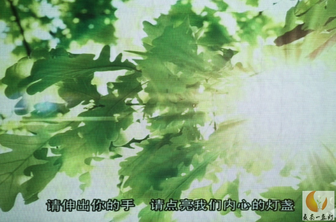 1A1B60051.jpg