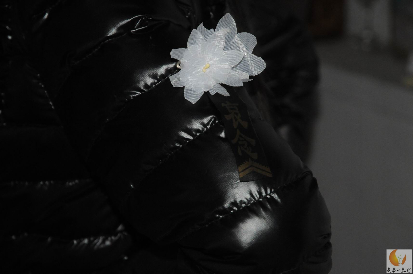 DSC_5032.jpg