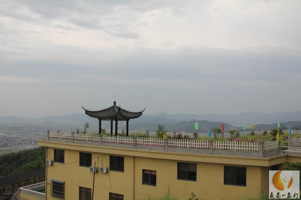 IMG_4267.jpg
