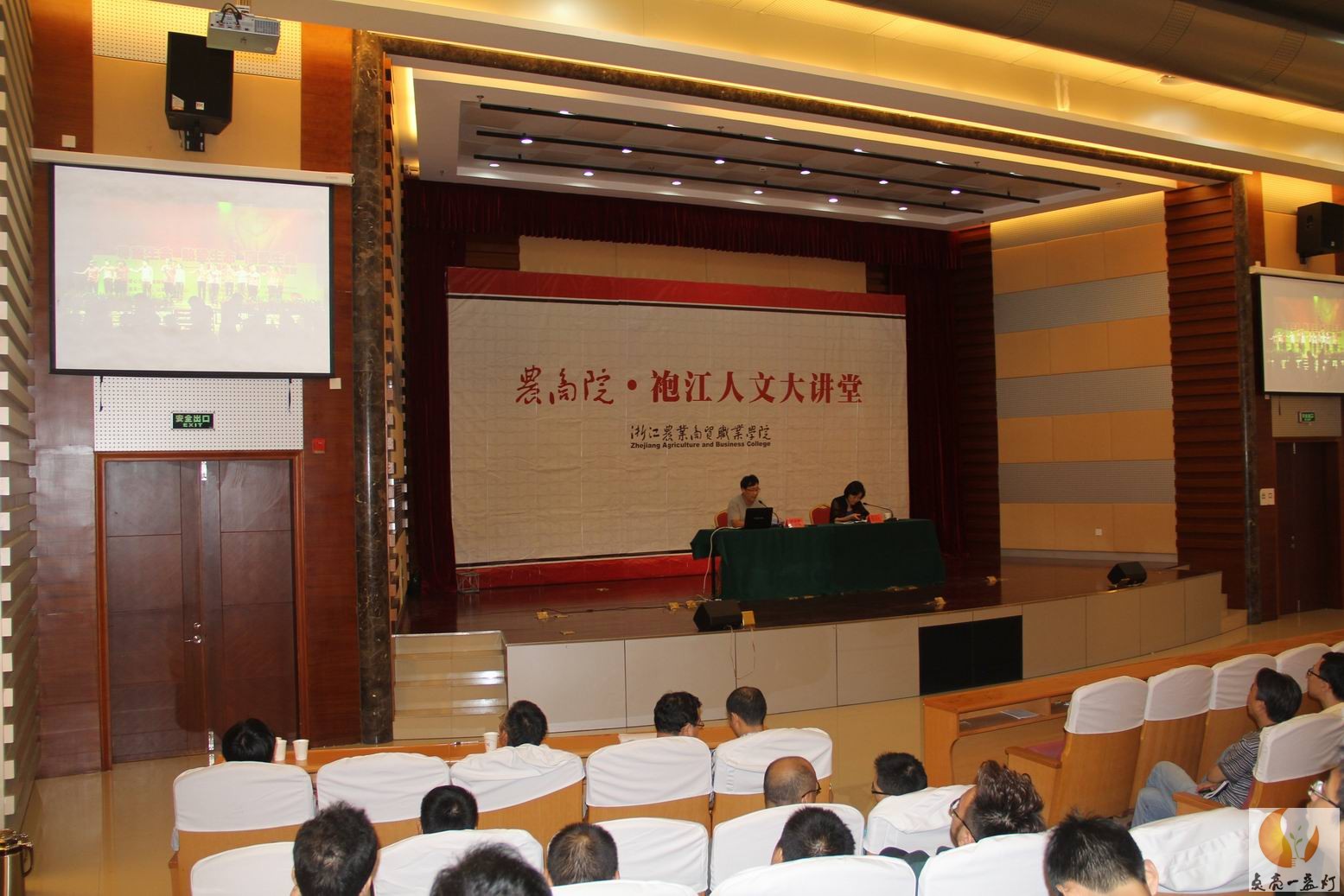 IMG_9815.jpg