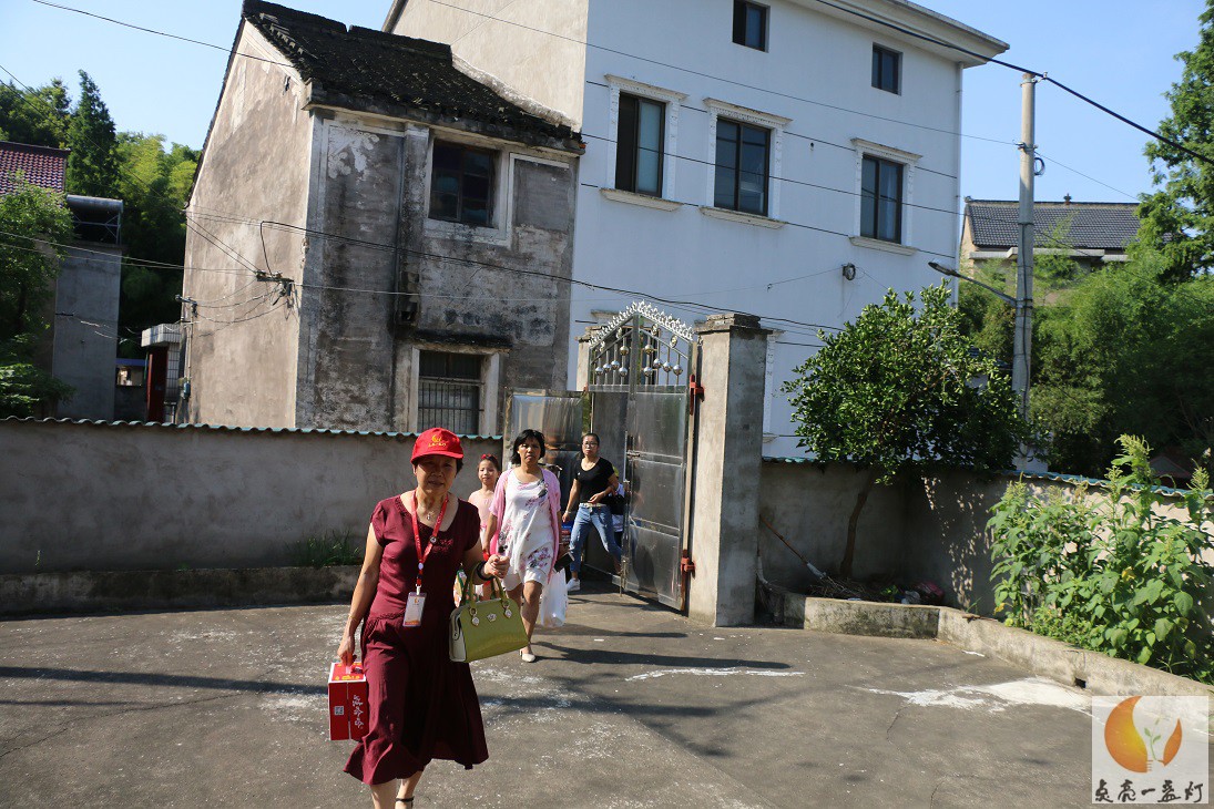 IMG_9979.JPG