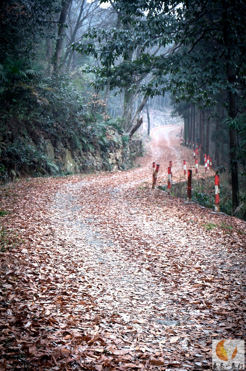 20139140219834.jpg