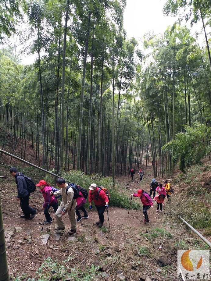 IMG_20180317_084612.jpg