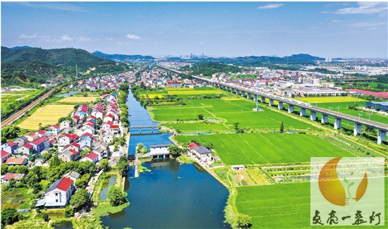 syrb2019072400008v01b007.jpg