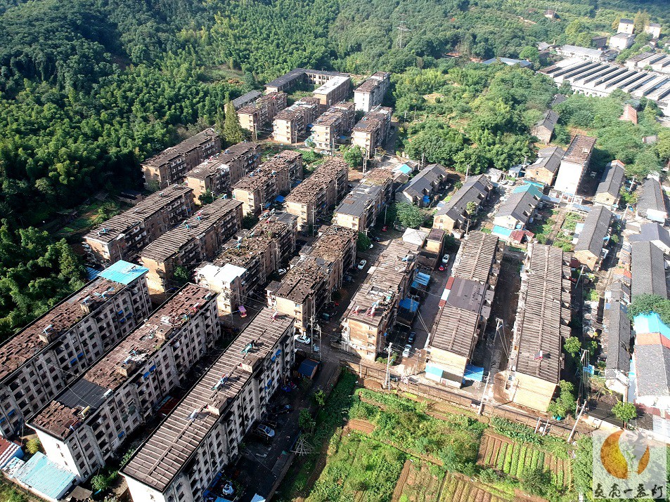 DJI_1450.JPG