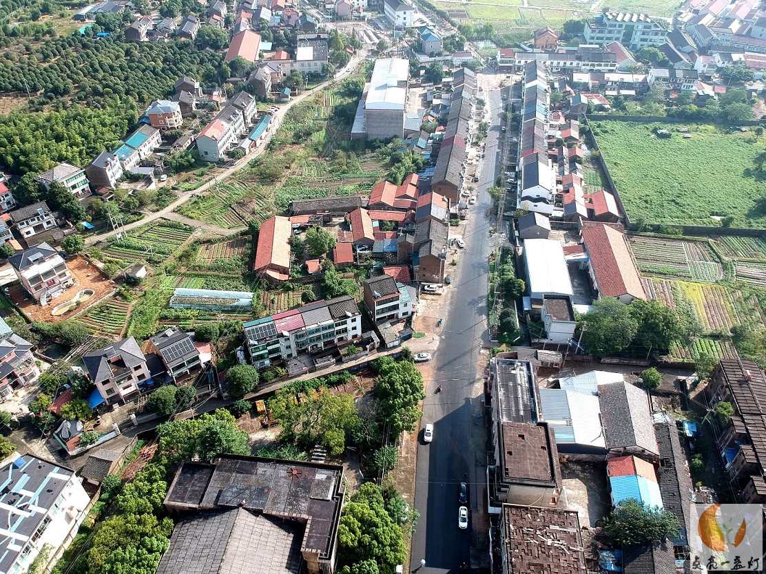 DJI_1464.JPG