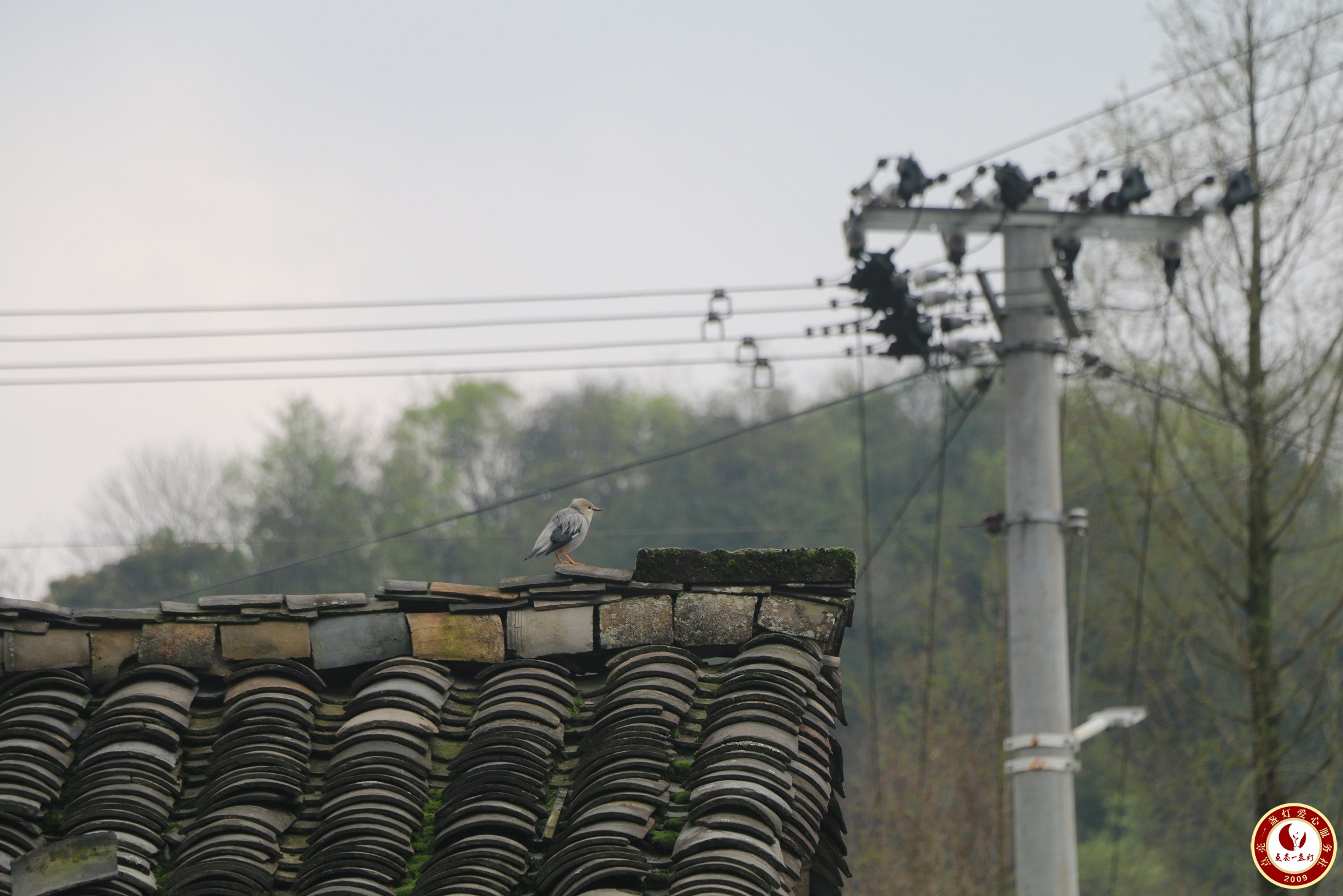 IMG_5687.JPG