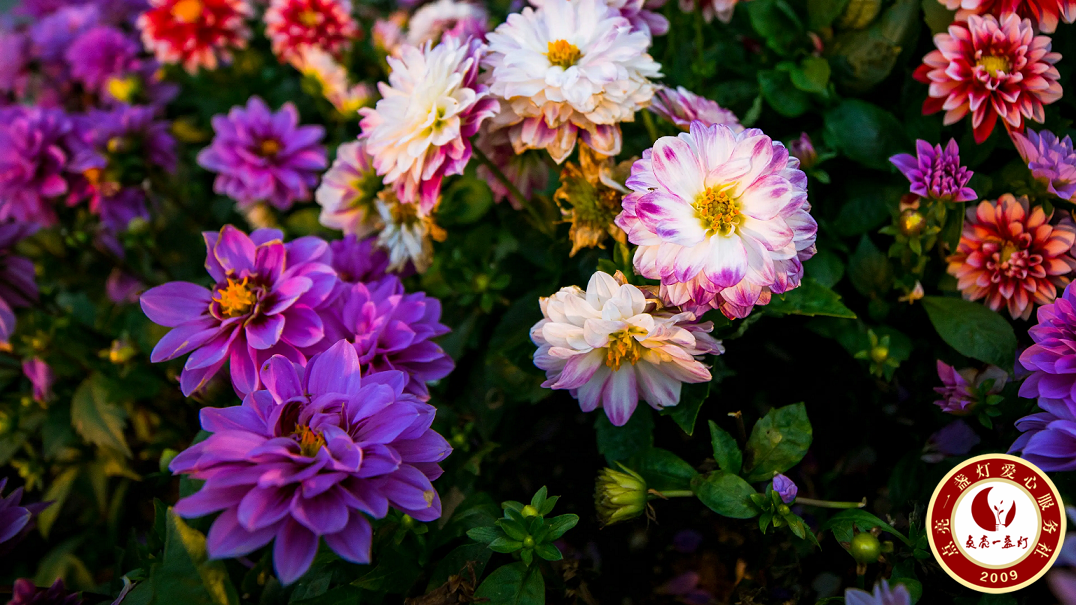 2e8a252f83f0ee6ec8f0b06fa147c02.png
