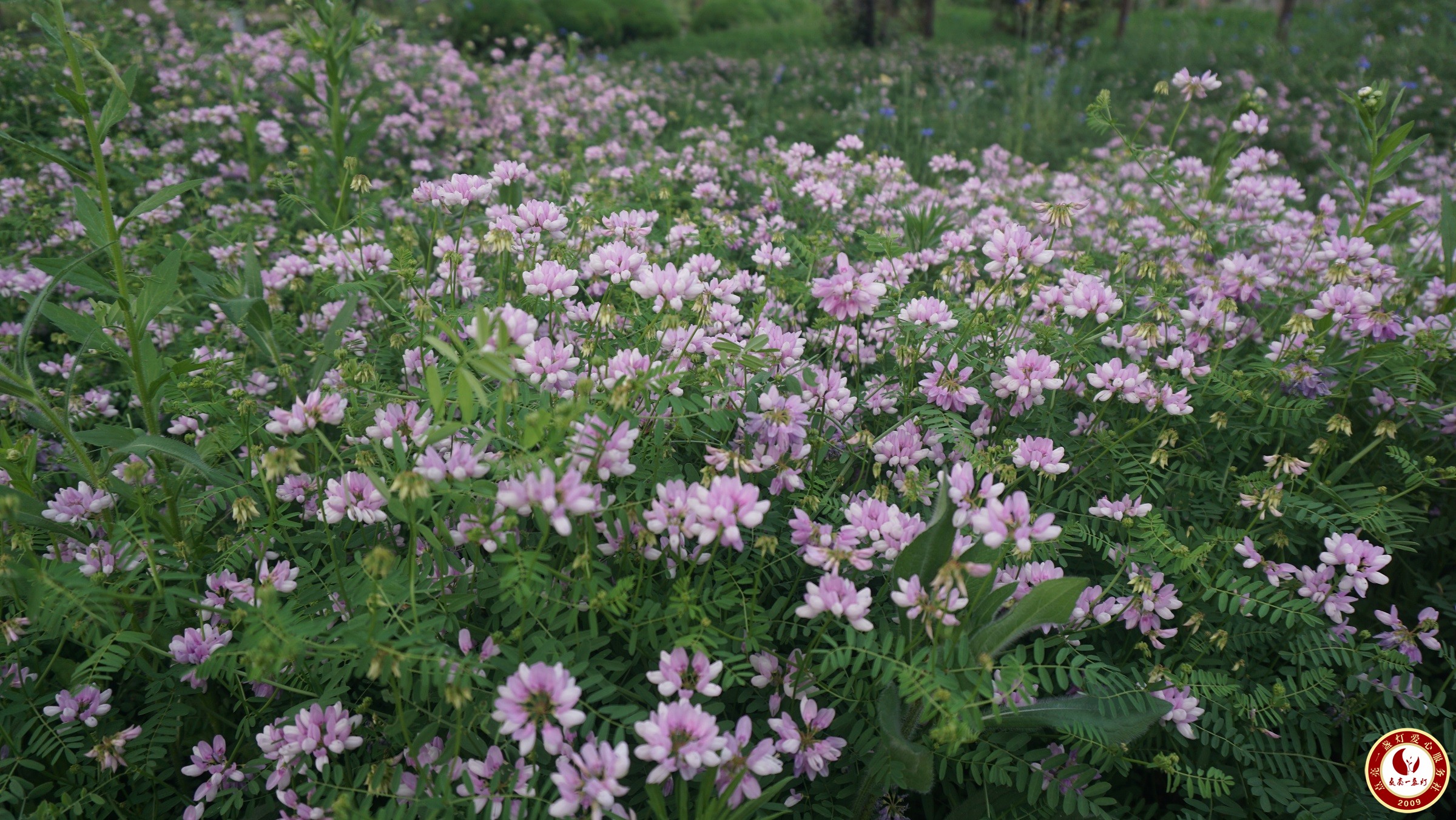 DSC08202.JPG