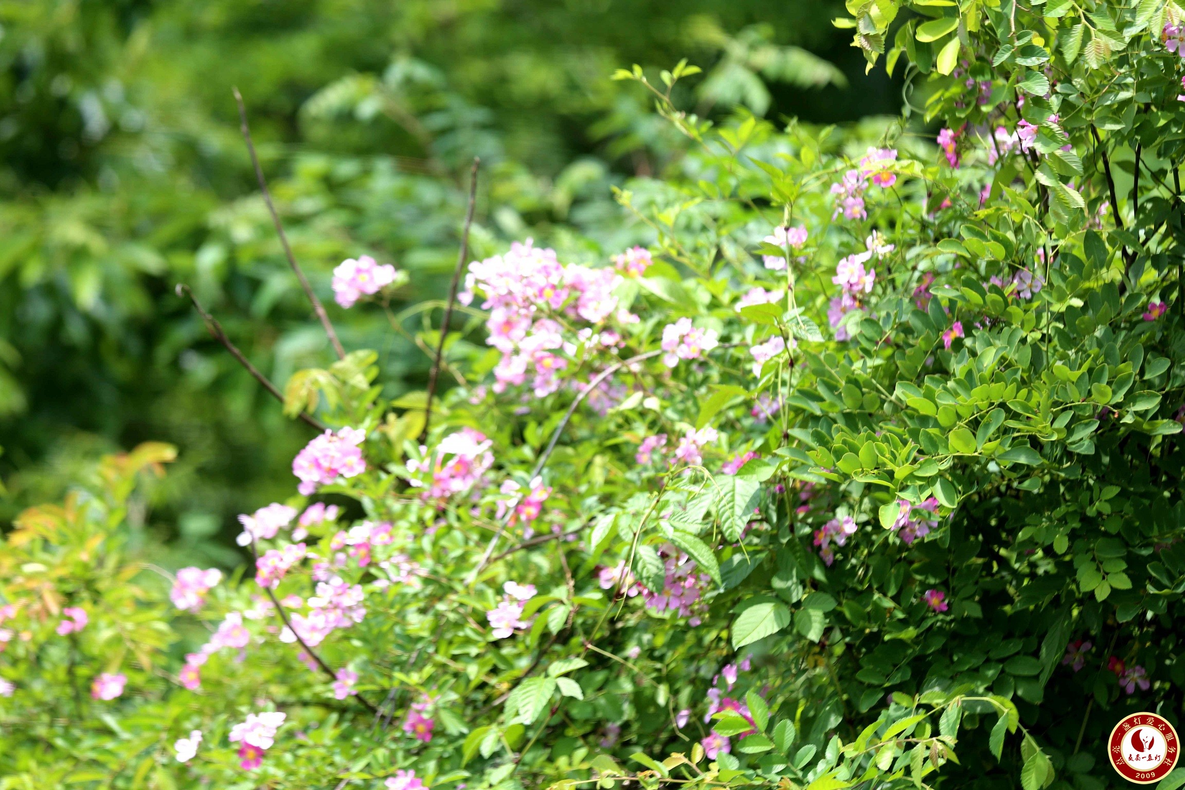 WL8A8543.JPG