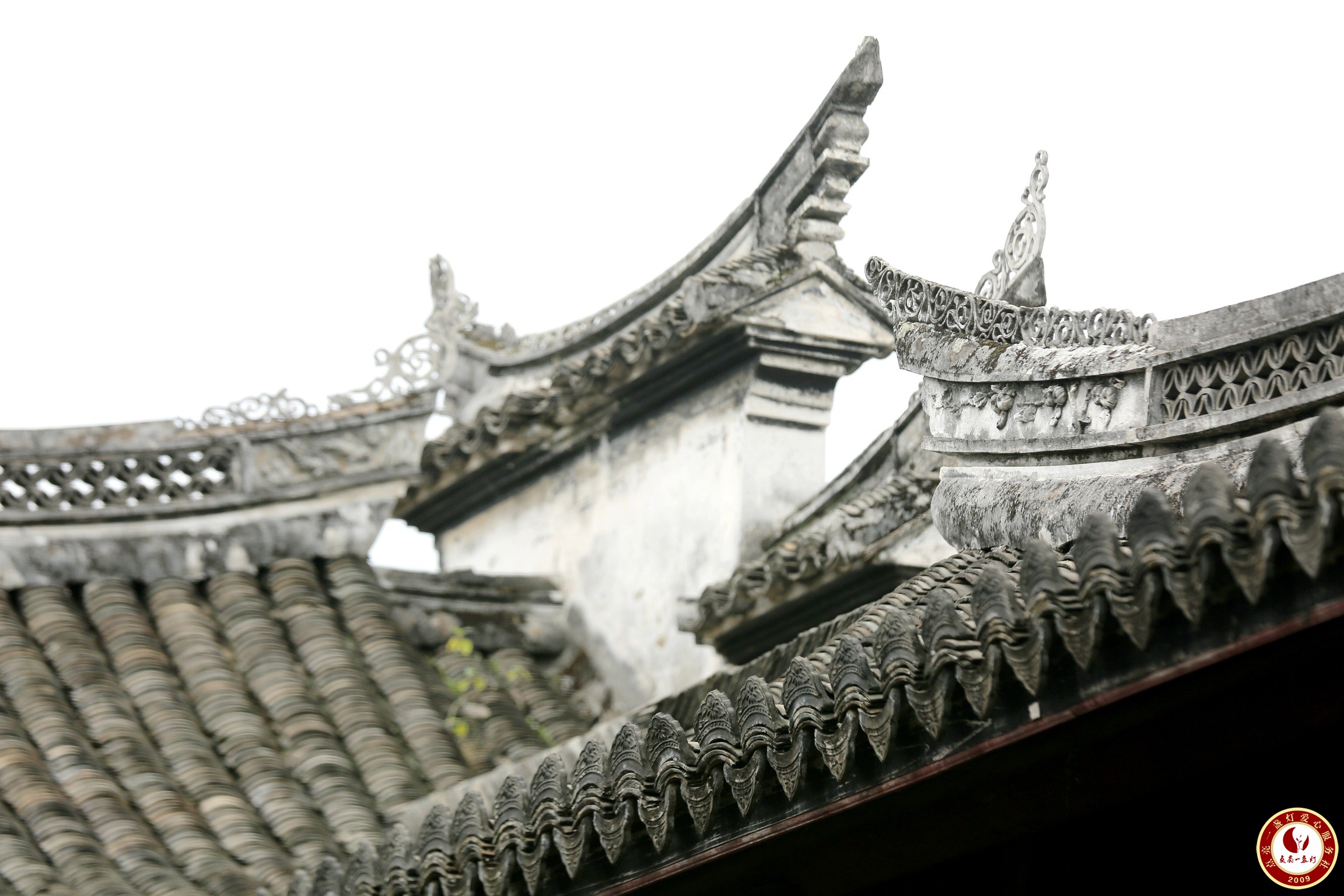 WL8A9847.JPG