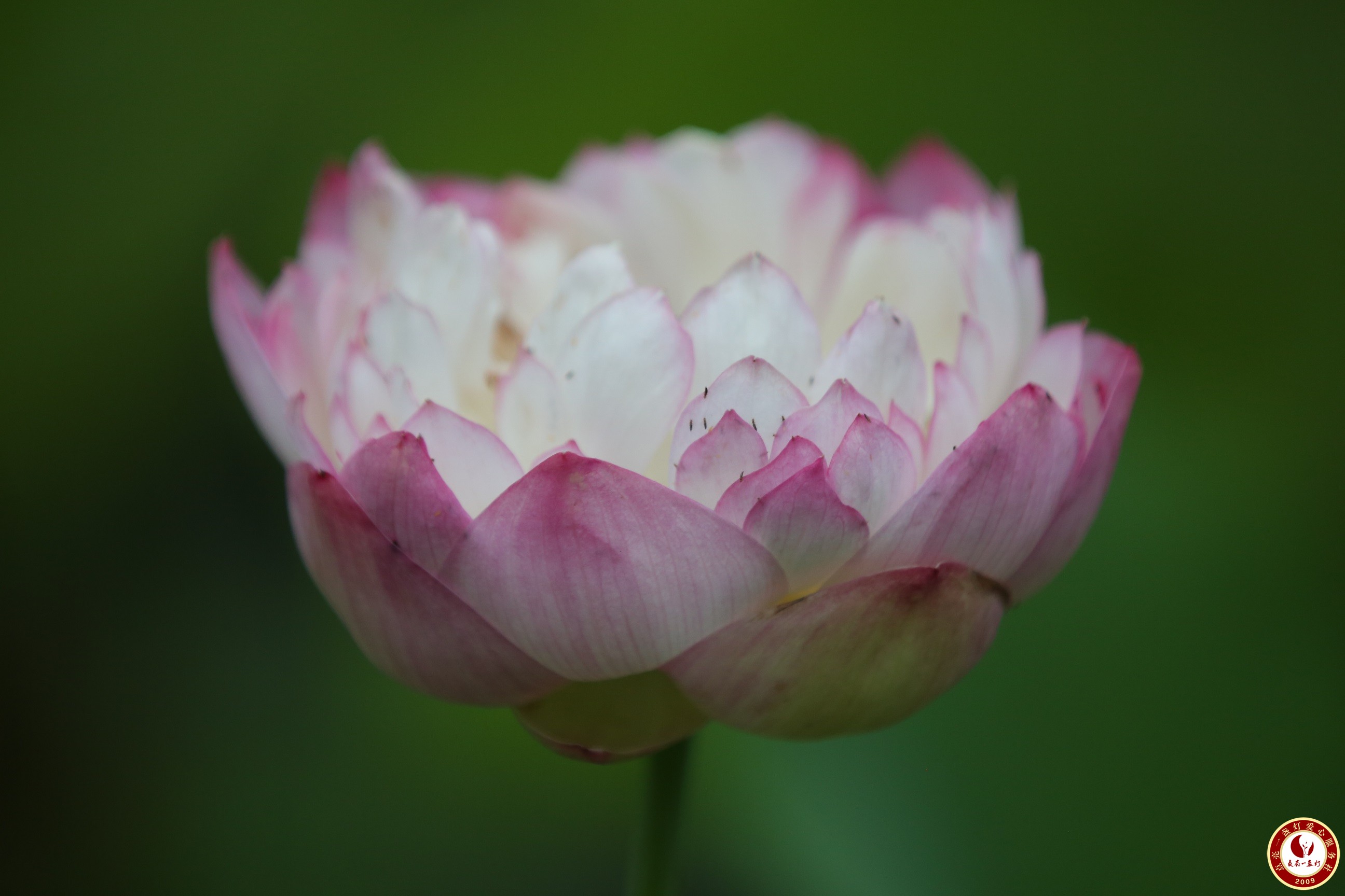 WL8A0314.JPG