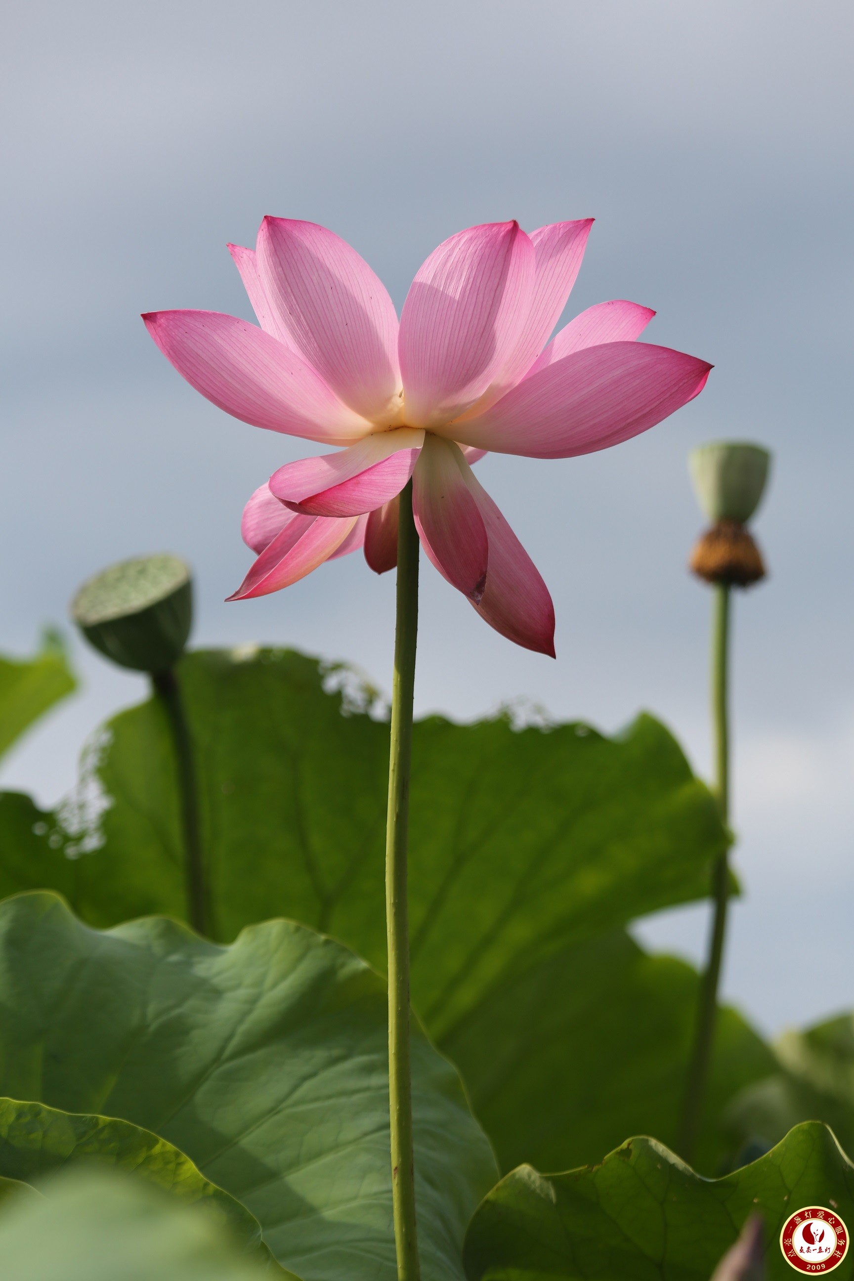 WL8A9328.JPG