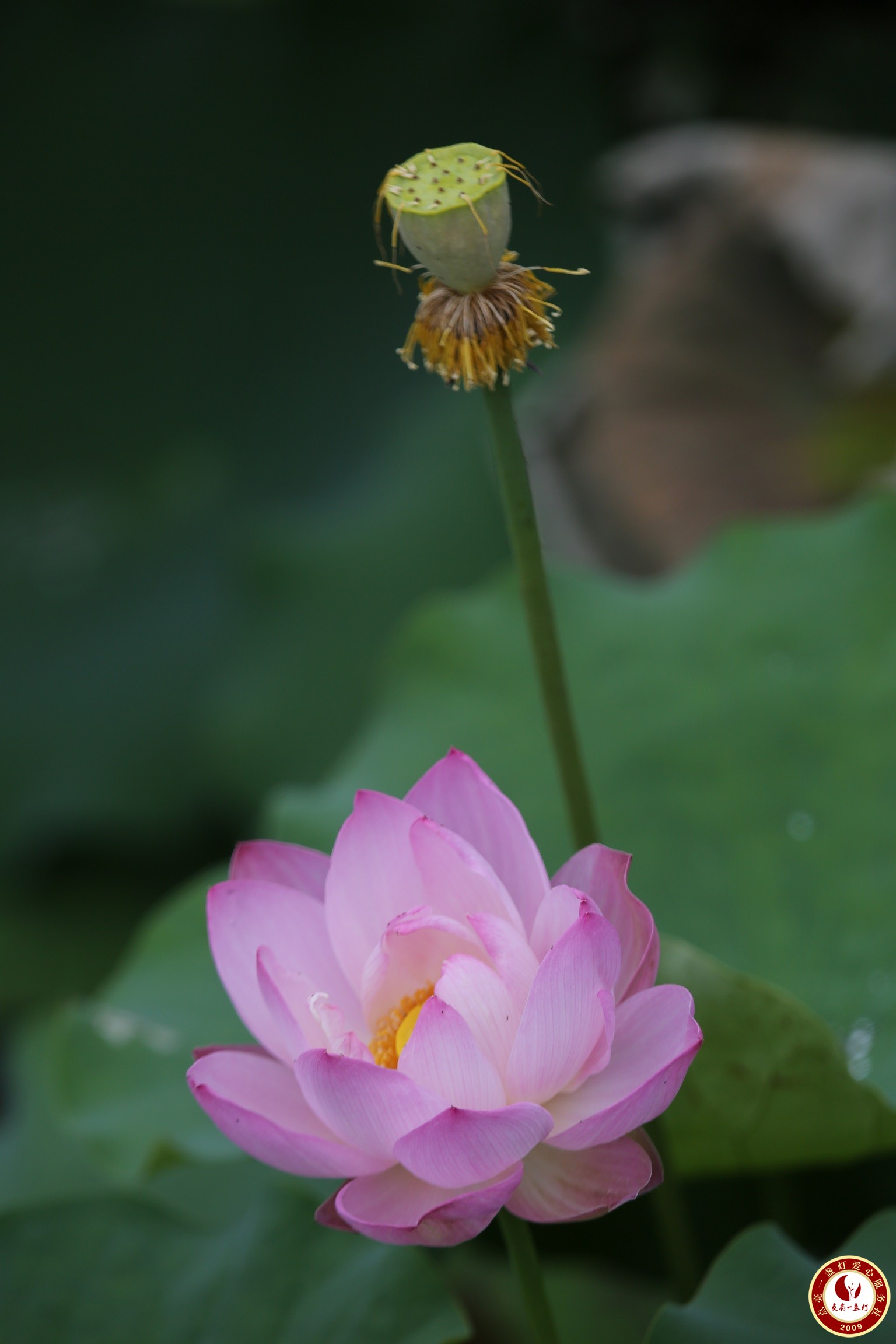 WL8A8841.JPG